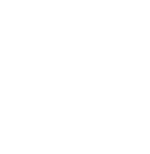 rise-logo-white-no-bg